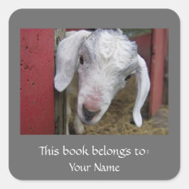 Baby Goat Buchzeichen Quadratischer Aufkleber