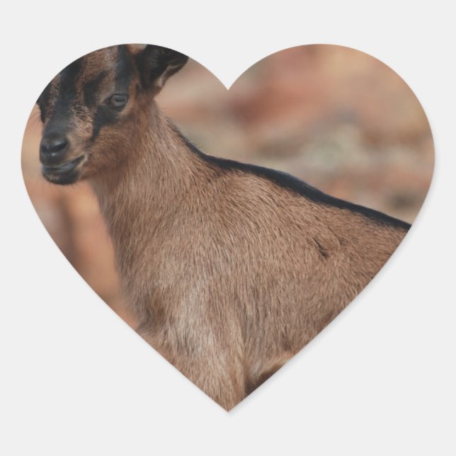 Baby Goat Herz-Aufkleber (Vorderseite)