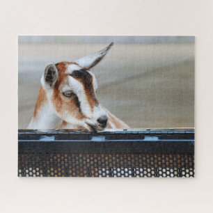 Baby Goat Jigsaw Puzzle