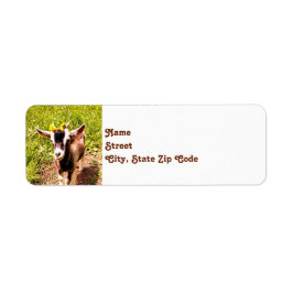 Baby Goat Rücksendeadressen-Aufkleber