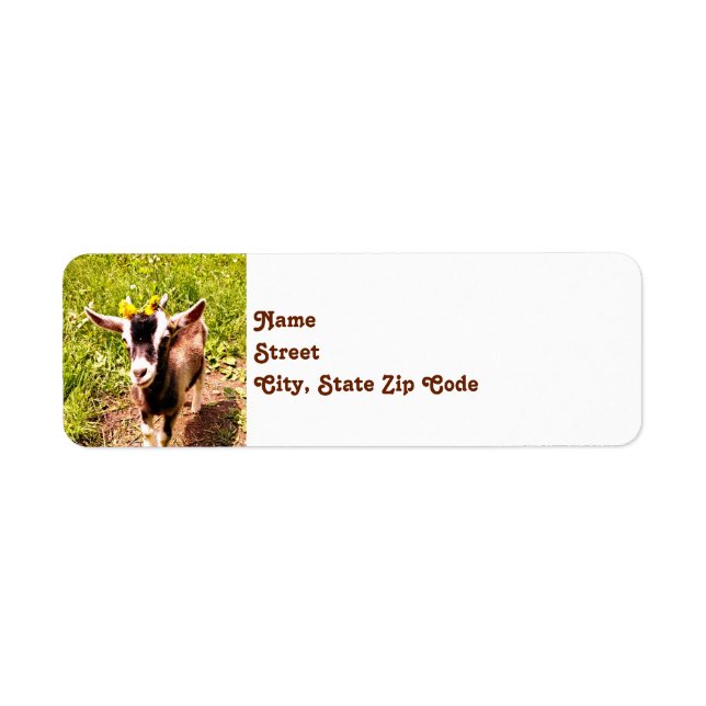 Baby Goat Rücksendeadressen-Aufkleber (Vorne)
