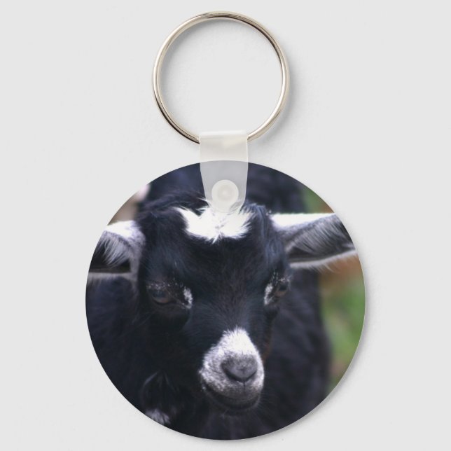 Baby Goat Schlüsselanhänger (Vorderseite)
