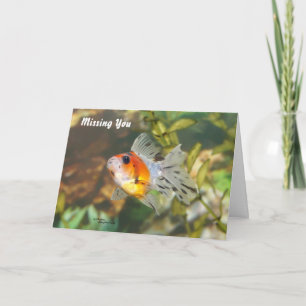 Baby Goldfish Vermisste Sie Grußkarte Karte