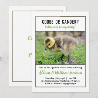 Baby Goose Genre Révéler Invitation