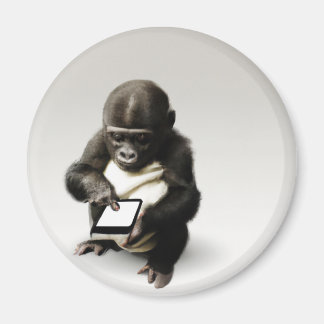 Baby gorilla Magnet / チビゴリラのマグネット　Gorilla Life