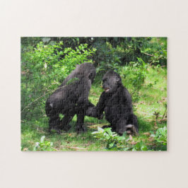Baby Gorillas Playing Puzzle