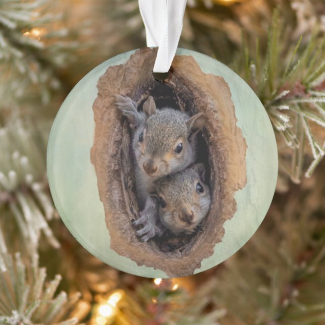 Baby Gray Eichhörnchen Weihnachten Ornament (Baum)
