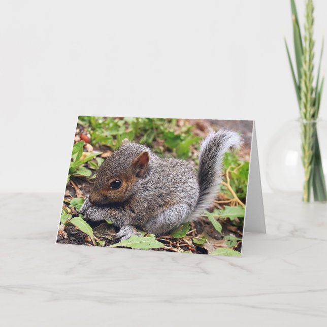 Baby Gray Karte (Vorderseite)