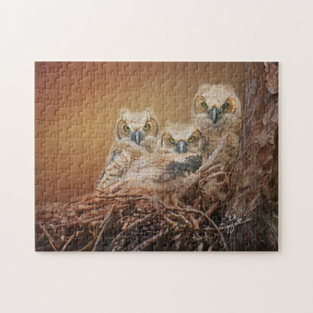 Baby Great Horned Owls Wildlife Fotografy (Horizontal)