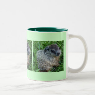 Baby Groundhog 11 Oz. Mug Zweifarbige Tasse