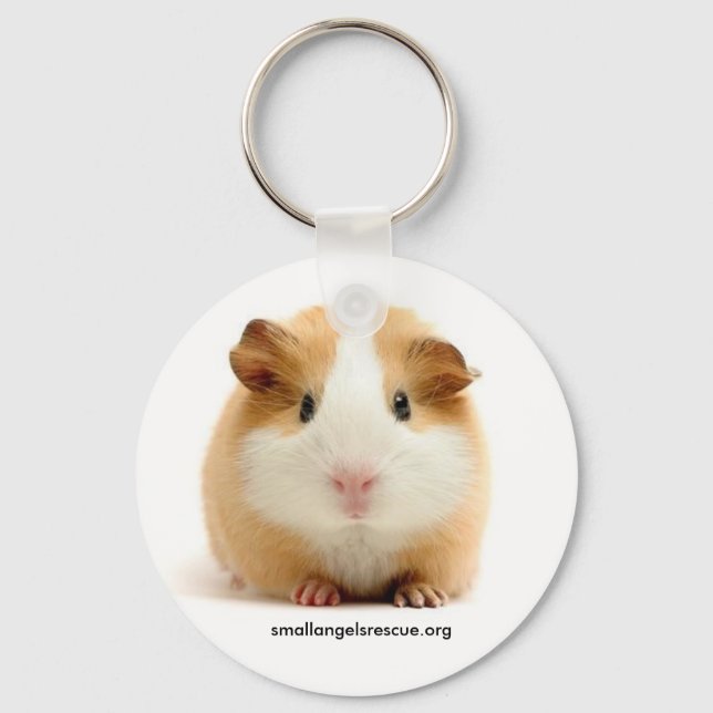 Baby Guinea Pig Schlüsselanhänger (Vorderseite)