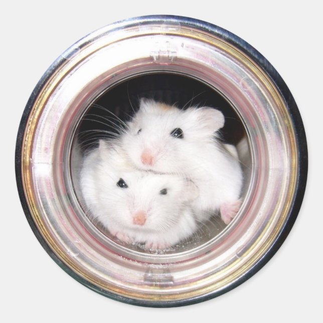 Baby Hamster: Aufgepökelt! Runder Aufkleber (Vorderseite)
