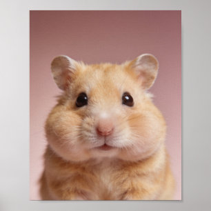 Baby-Hamster-Porträt – Süße Wanddekoration für das Poster