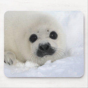 Baby-Harfen-Siegel Mousepad