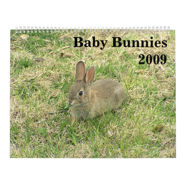 Baby-Häschen-Kalender 2009 Kalender (Titelbild)