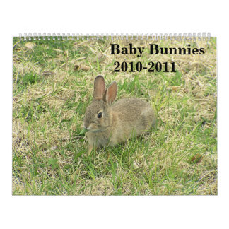 Baby-Häschen-Kalender 2010-2011 Kalender