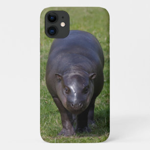 Baby Hippo iPhone 11 Fall Case-Mate iPhone Hülle