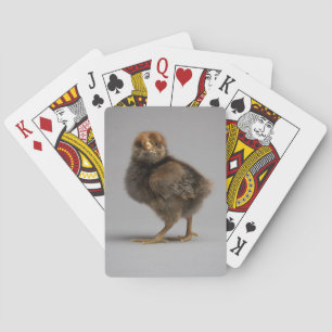 Baby-Huhn Spielkarten