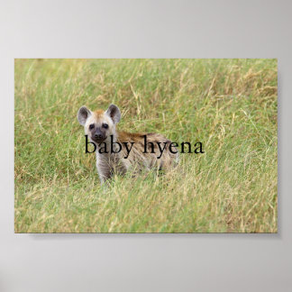 baby hyena poster