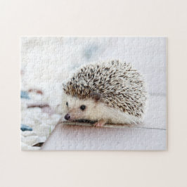 Baby-Igel