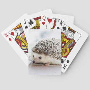Baby Igel Spielkarten