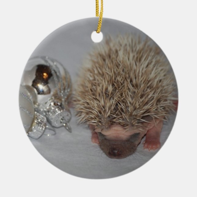 Baby-Igels-Weihnachtsverzierung Keramikornament (Vorne)