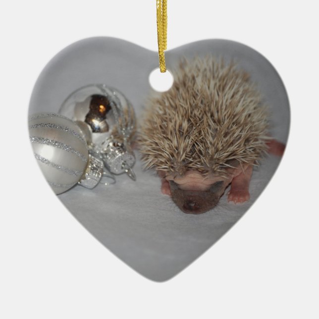 Baby-Igels-Weihnachtsverzierung Keramikornament (Vorne)