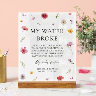 Baby in Bloom Baby Dusche Mein Wasser Broke Spiel Acrylschild