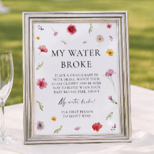 Baby in Bloom Baby Shower Mein Wasser Ist Gebroche Poster