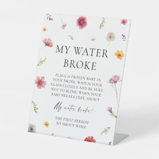 Baby in Bloom Dusche Mein Wasser Broke Spiel Sockelschild
