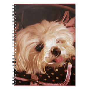 Baby in einer Tasche maltesisches Puppy Spirituose Notizblock
