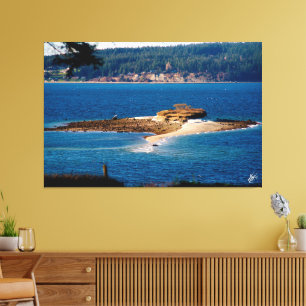 Baby Island auf Whidbey Island #1 Leinwanddruck
