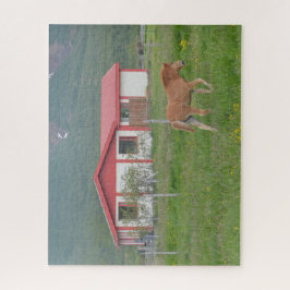 Baby Isländisch Pferd auf Bauernhof