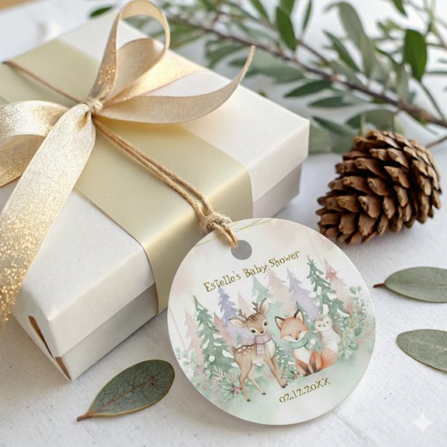 Baby It's Cold Outside Cute Winter Woodland Geschenkanhänger (Von Creator hochgeladen)