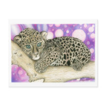 Baby Jaguar