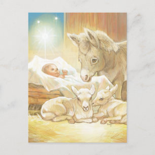 Baby Jesus Krippe mit Lämmern und Esel Postkarte