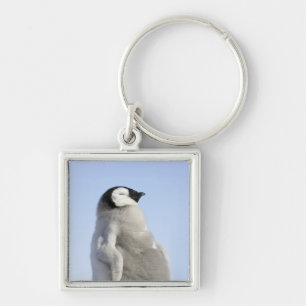 Baby-Kaiser-Pinguin, Schnee-Hügel-Insel Schlüsselanhänger