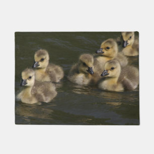 Baby-Kanada-Gans-Gänschen-Tier-Tier-Fußmatte Fußmatte