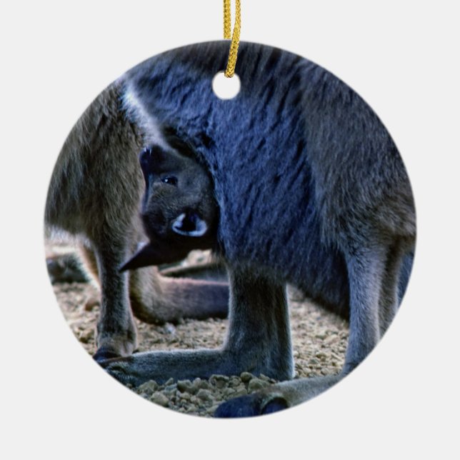 Baby Kangaroo in der Tüte der Mutter - Australien Keramik Ornament (Vorne)