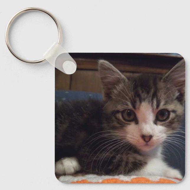 Baby Keeno Kitten Schlüsselanhänger (Vorderseite)