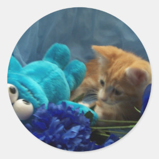 Baby Kitten Cole Runder Aufkleber