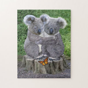 Baby Koala Bär Knuddeln