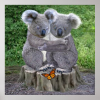 Baby Koala Bear Huggies