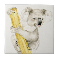 Baby Koala | Niedlich & Furry