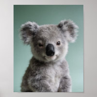 Baby-Koala-Porträt – Süße Kinderzimmer-Tier-Wandku