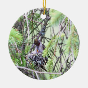 Baby-Kolibris in einem Nest Keramik Ornament
