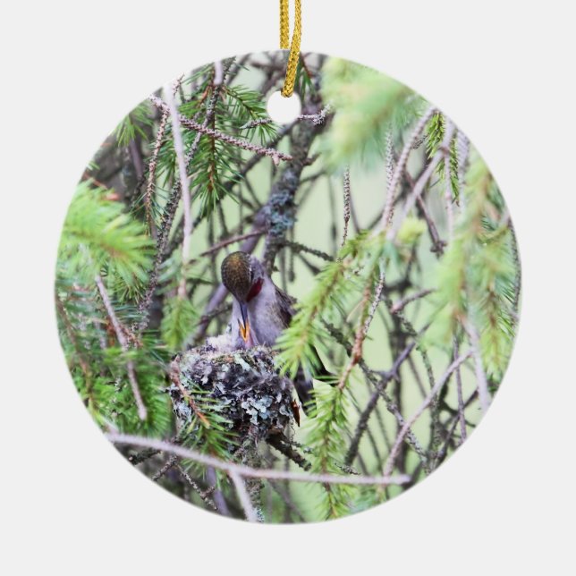 Baby-Kolibris in einem Nest Keramik Ornament (Vorne)