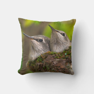 Baby Kolibris Kissen