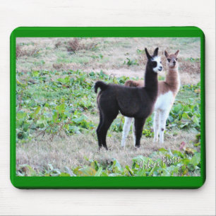 Baby-Lamas Mousepad