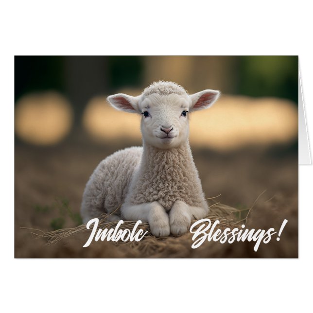 Baby Lamb Imbolc-Segnungen (Vorderseite (Horizontal))
